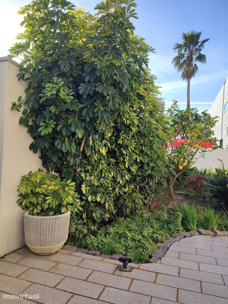 Casa com restaurante, localizada a poucos minutos a pé do mar, Espinho - Grande imagem: 2/33