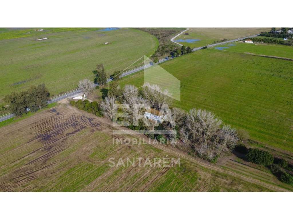 Quinta 25ha com rendimento e Alojamento Local - Grande imagem: 2/47