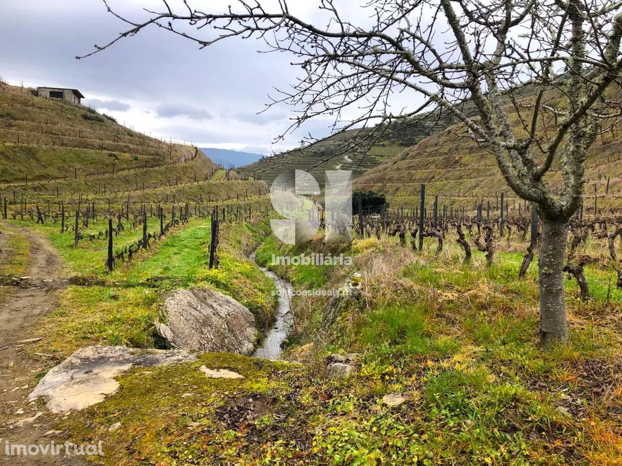 Terreno em Murça - Grande imagem: 3/40