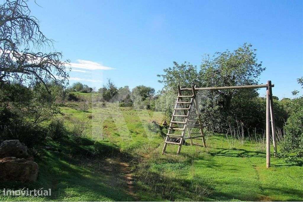 VENDA| Terreno URBANIZÁVEL PARA FINS INDUSTRIAIS com 3160 m2 - Quelfes - Grande imagem: 2/8