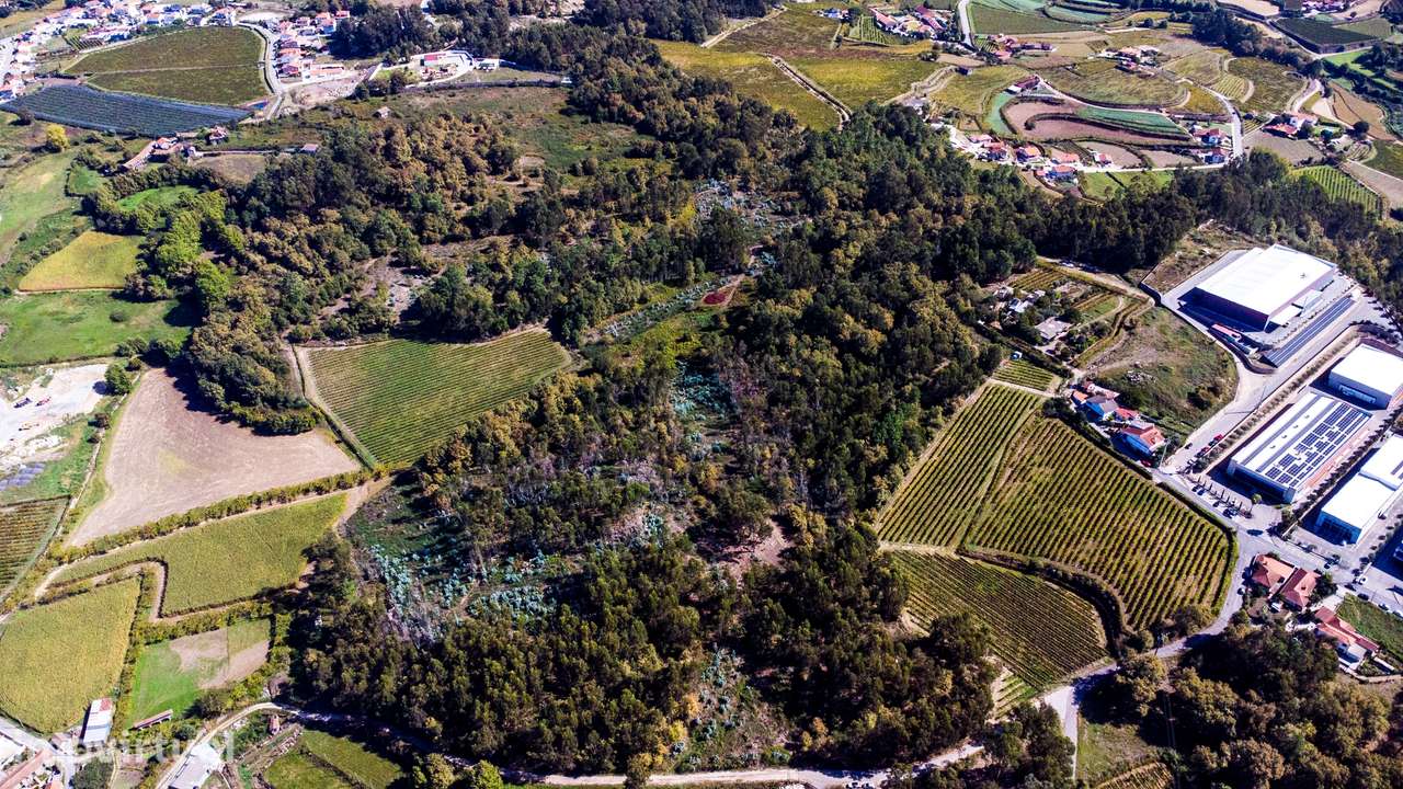 Terreno em Airães, Felgueiras - Grande imagem: 5/5