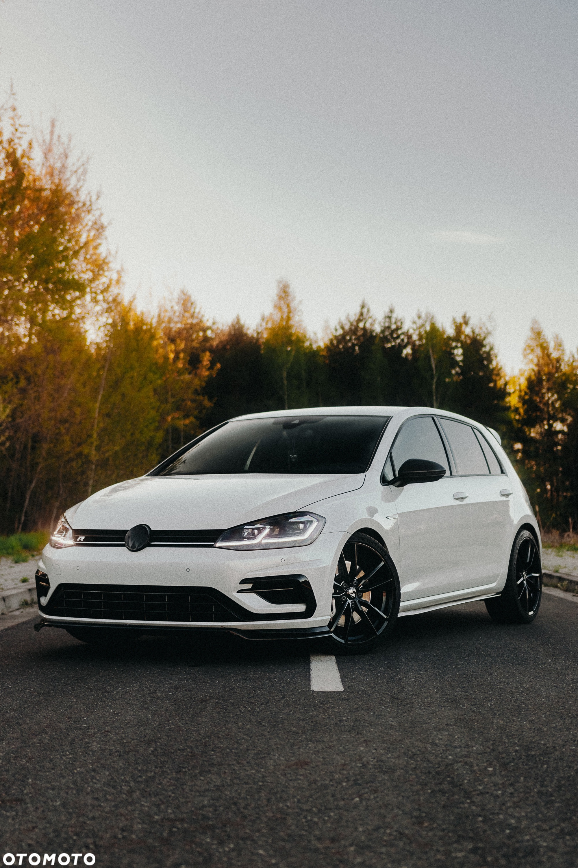 Volkswagen Golf R 4Motion (BlueMotion Technology) DSG - 14
