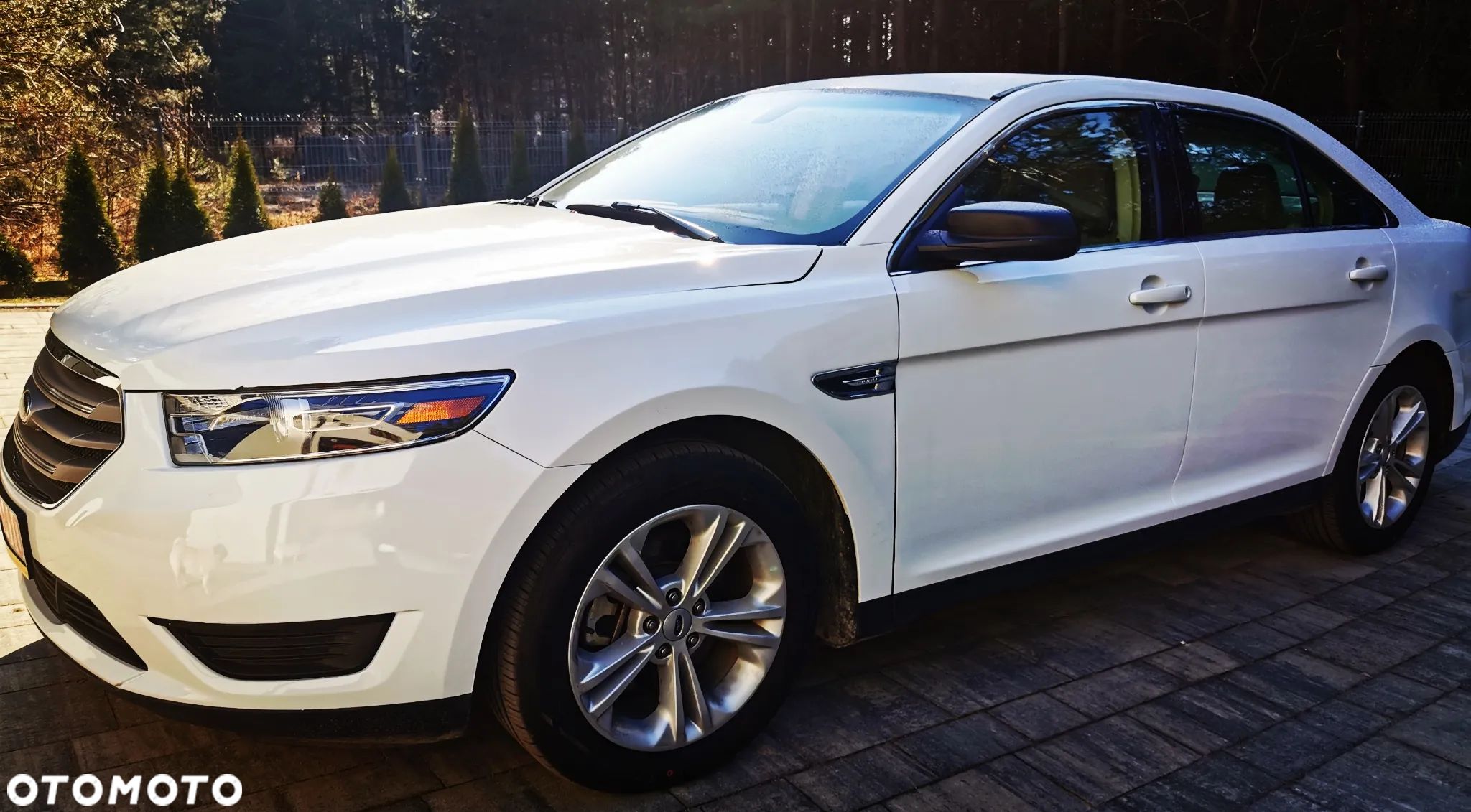 Ford Taurus - 1