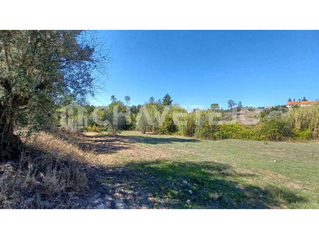 Terreno com possibilidade de construção perto de S. Pedro de Tomar. - Grande imagem: 2/8