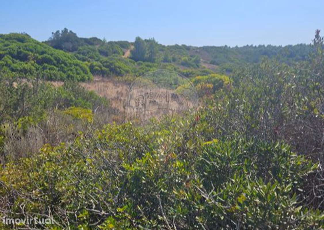 Terreno  para venda - Grande imagem: 2/7