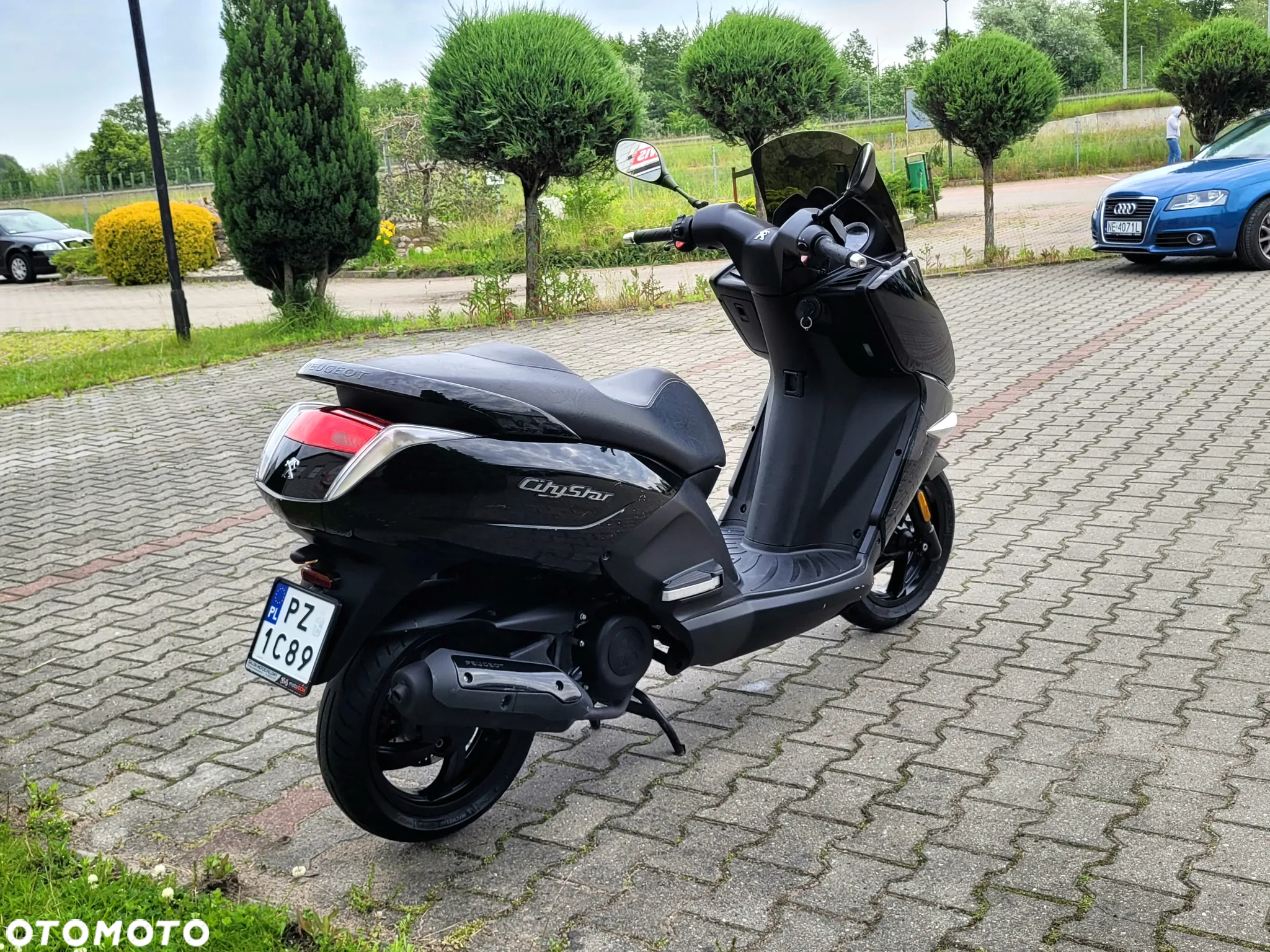 Peugeot Citystar - 10