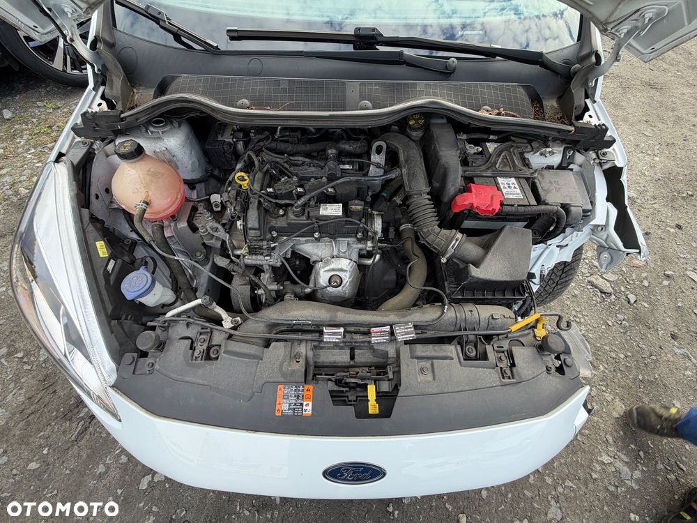 Ford Fiesta - 22