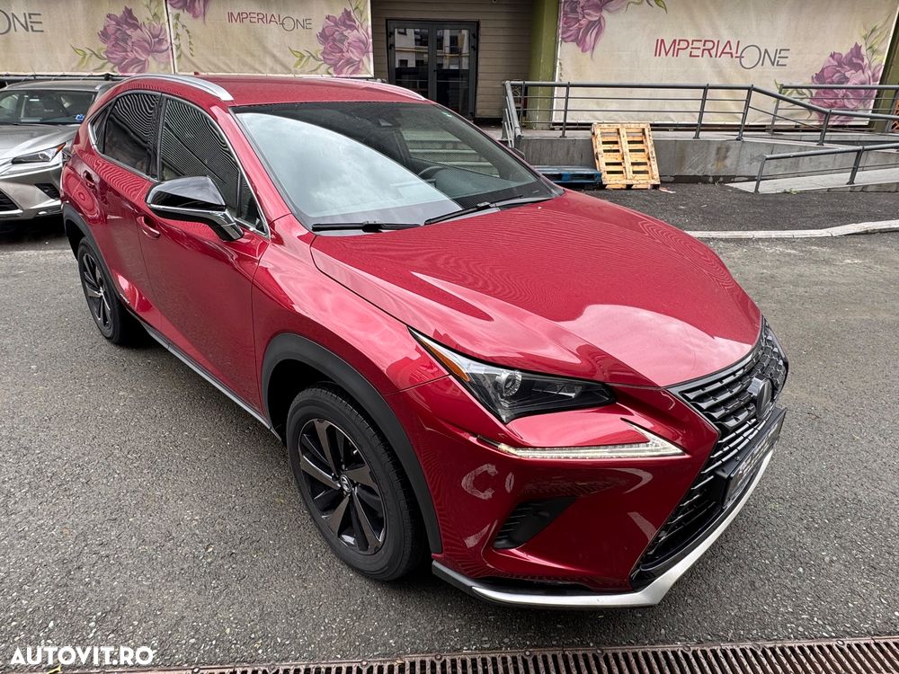 Lexus Seria NX 300h AWD Business Plus - 3