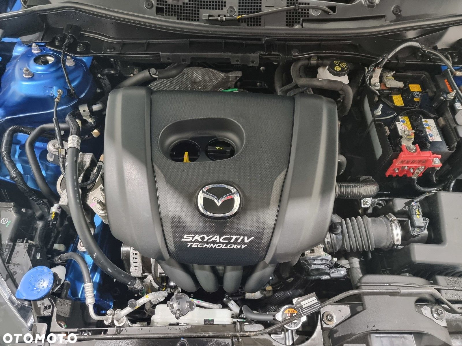 Mazda 2 - 24