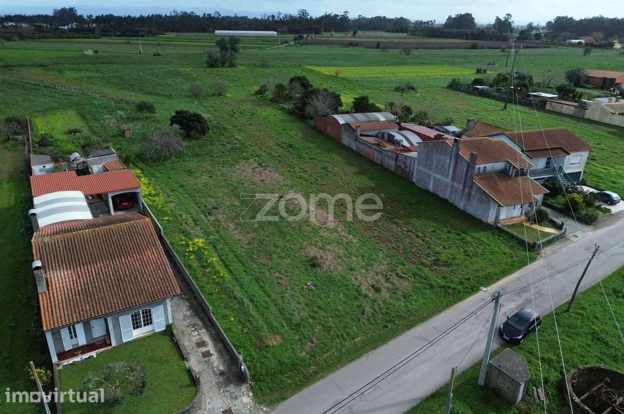Terreno para moradia isolada ou 2 moradias geminadas_1900m2_Vagos - Grande imagem: 5/31