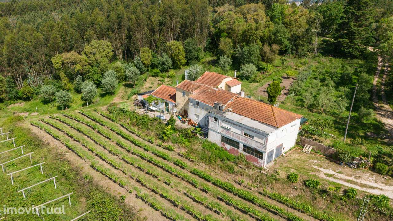 Quinta com 8 hectares com potencial para construção – Antanhol - Coimb - Grande imagem: 3/19