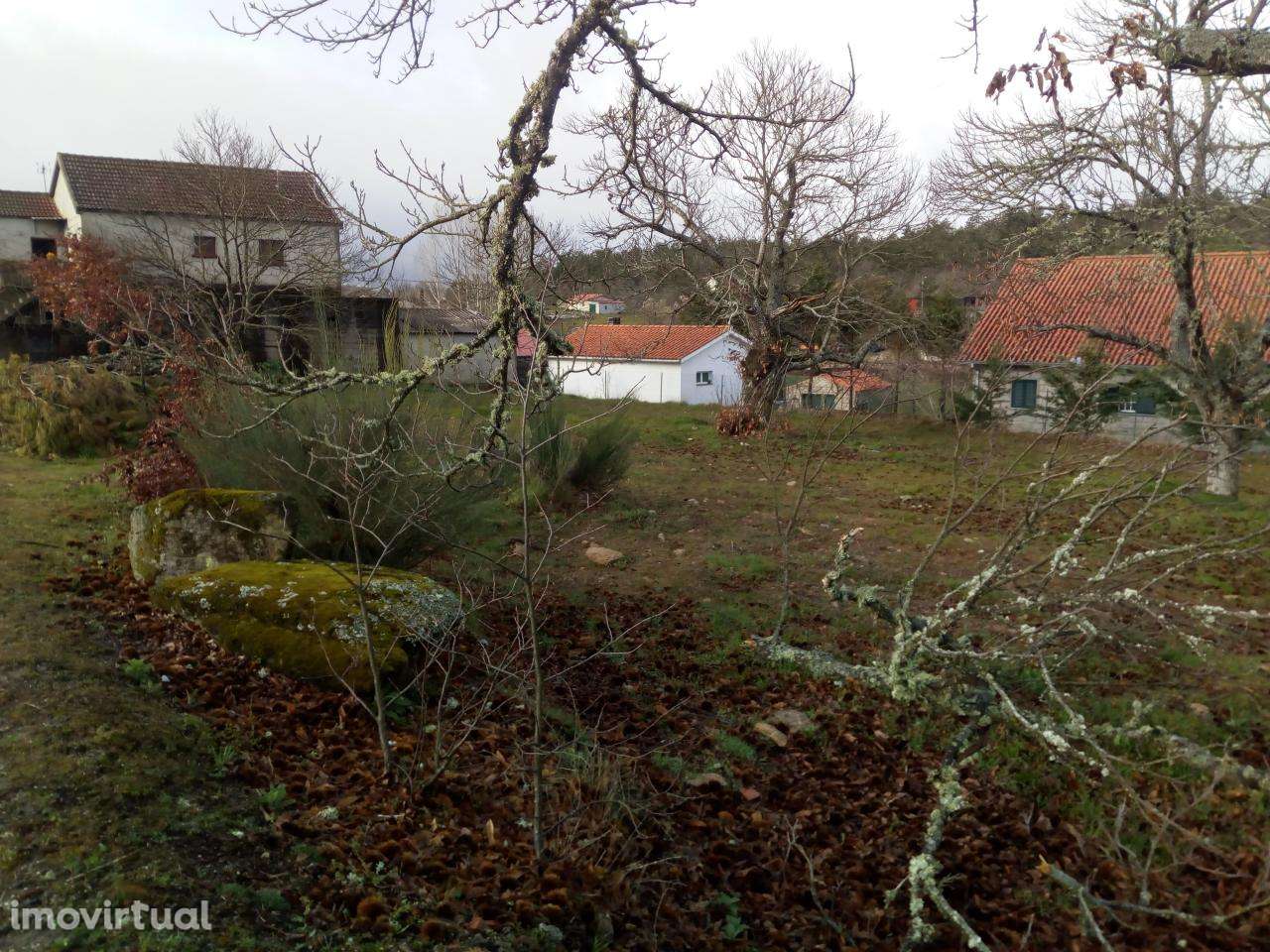 Lote para construção - Grande imagem: 3/5