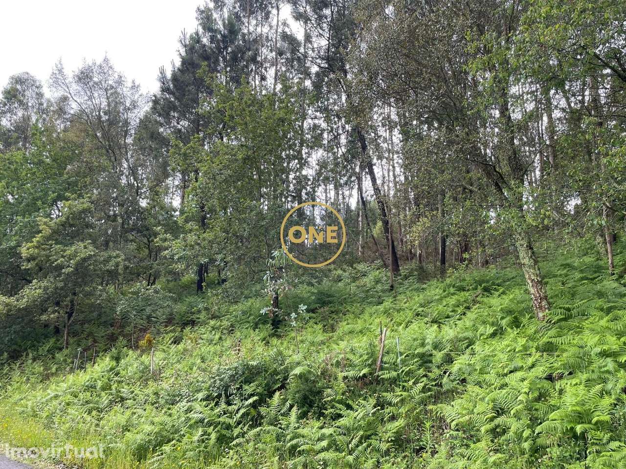 Venda Terreno - Grande imagem: 3/11