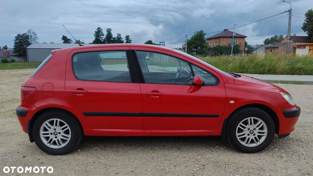 Peugeot 307 1.4 XR - 9