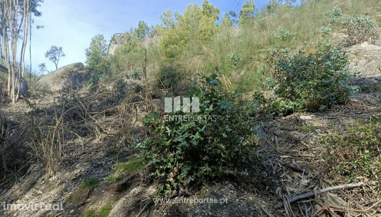Venda Terreno  Vila Cova Penafiel - Grande imagem: 2/4