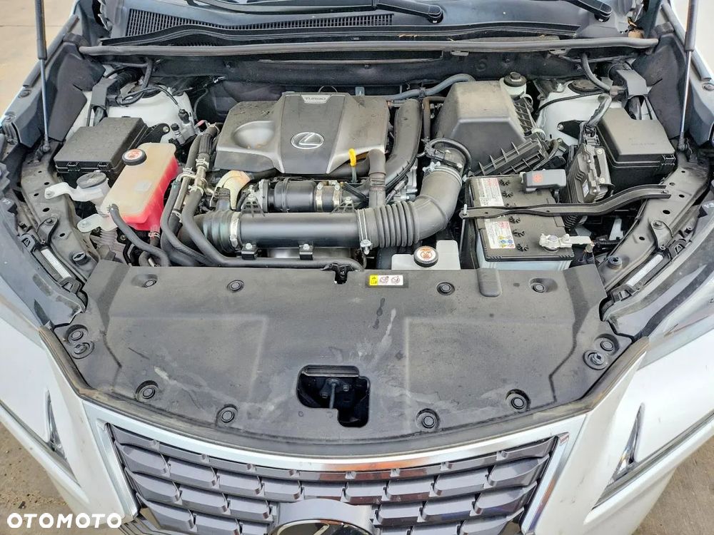 Lexus NX 300 Comfort AWD - 11