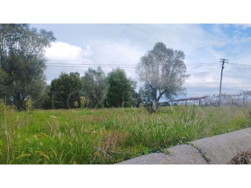 Terreno de Construção em Lanheses - Grande imagem: 3/6