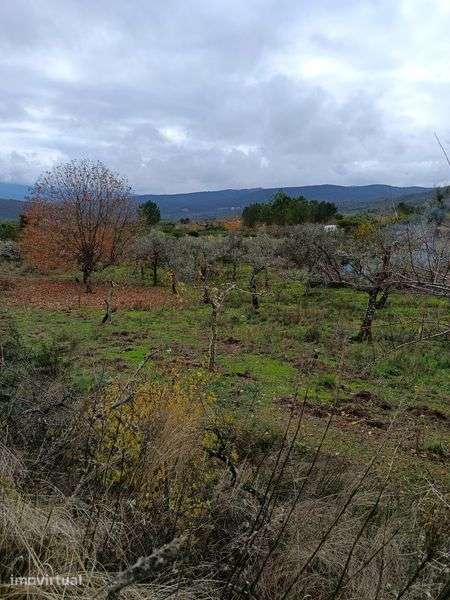 Quinta rural com  41000 metros s quadrados - Grande imagem: 5/5