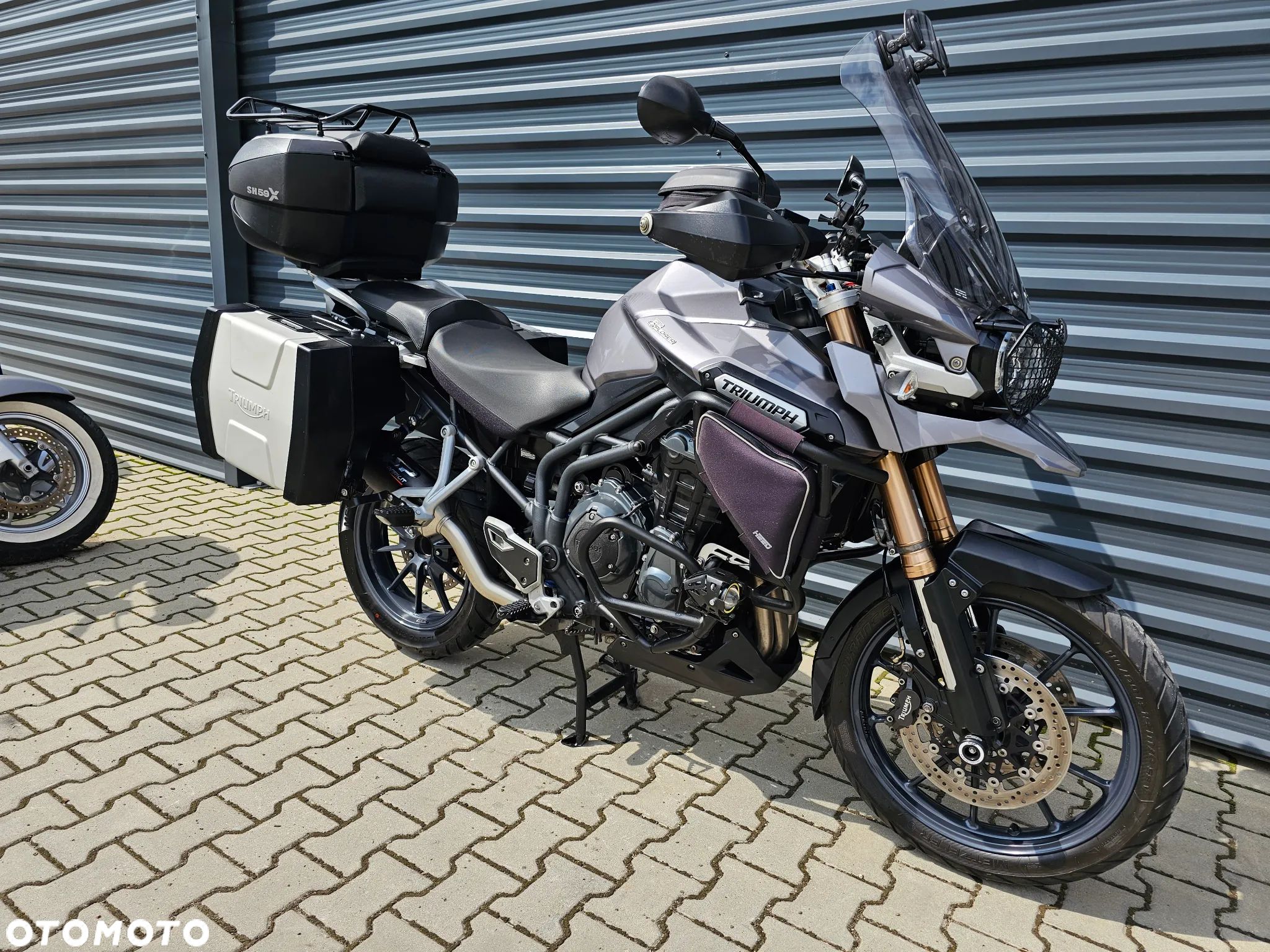Triumph Tiger - 1