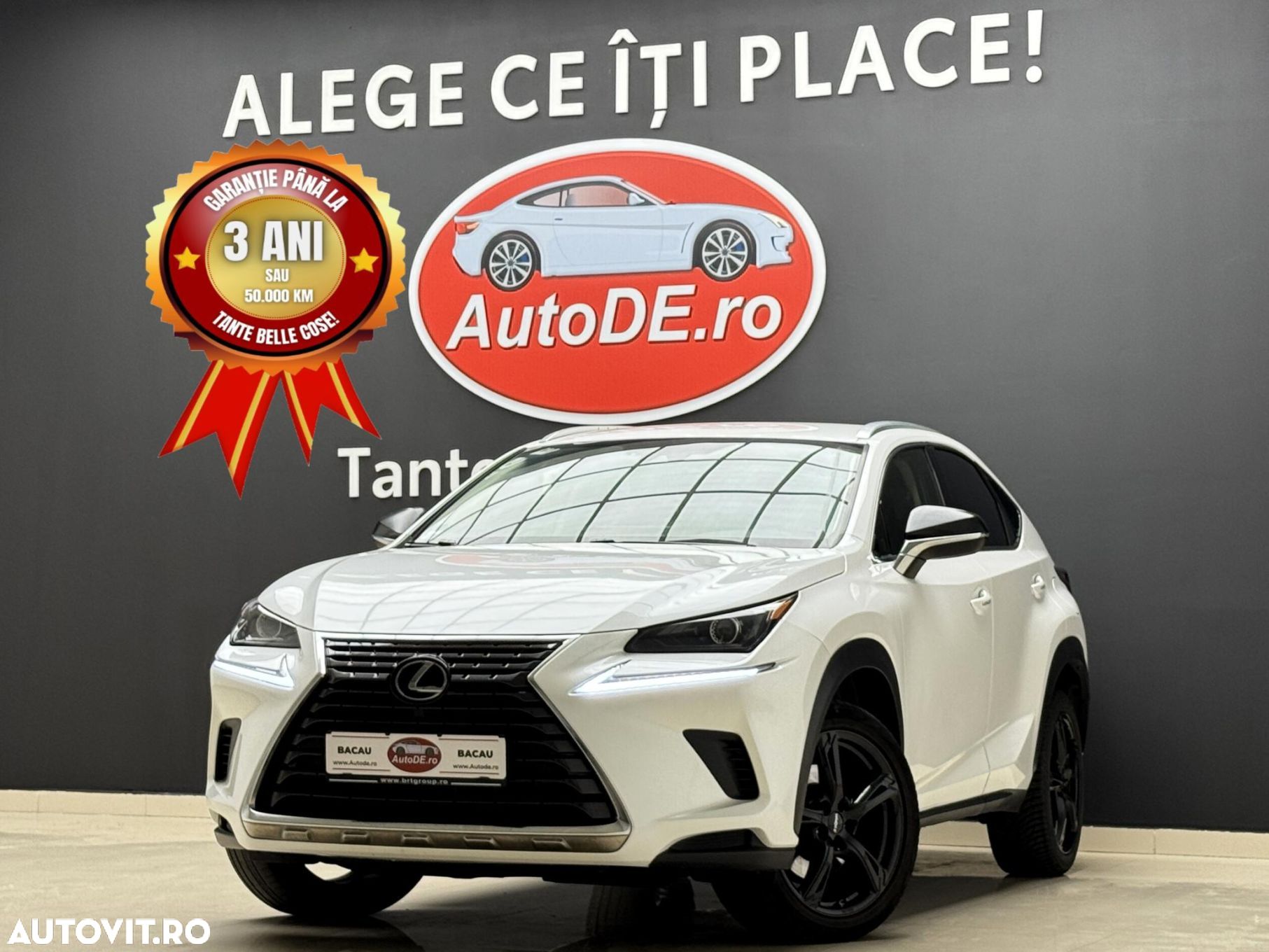 Lexus Seria NX - 1
