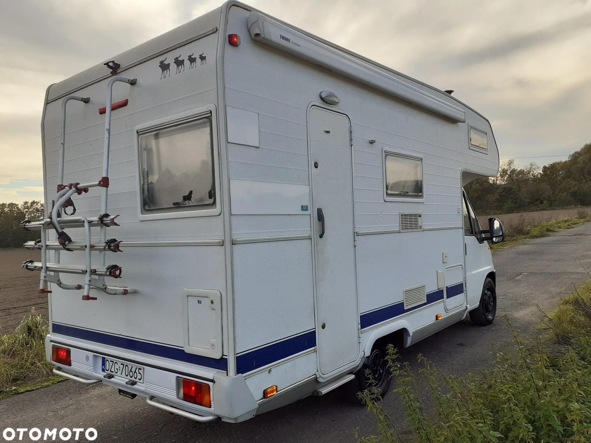 Fiat Ducato - 22