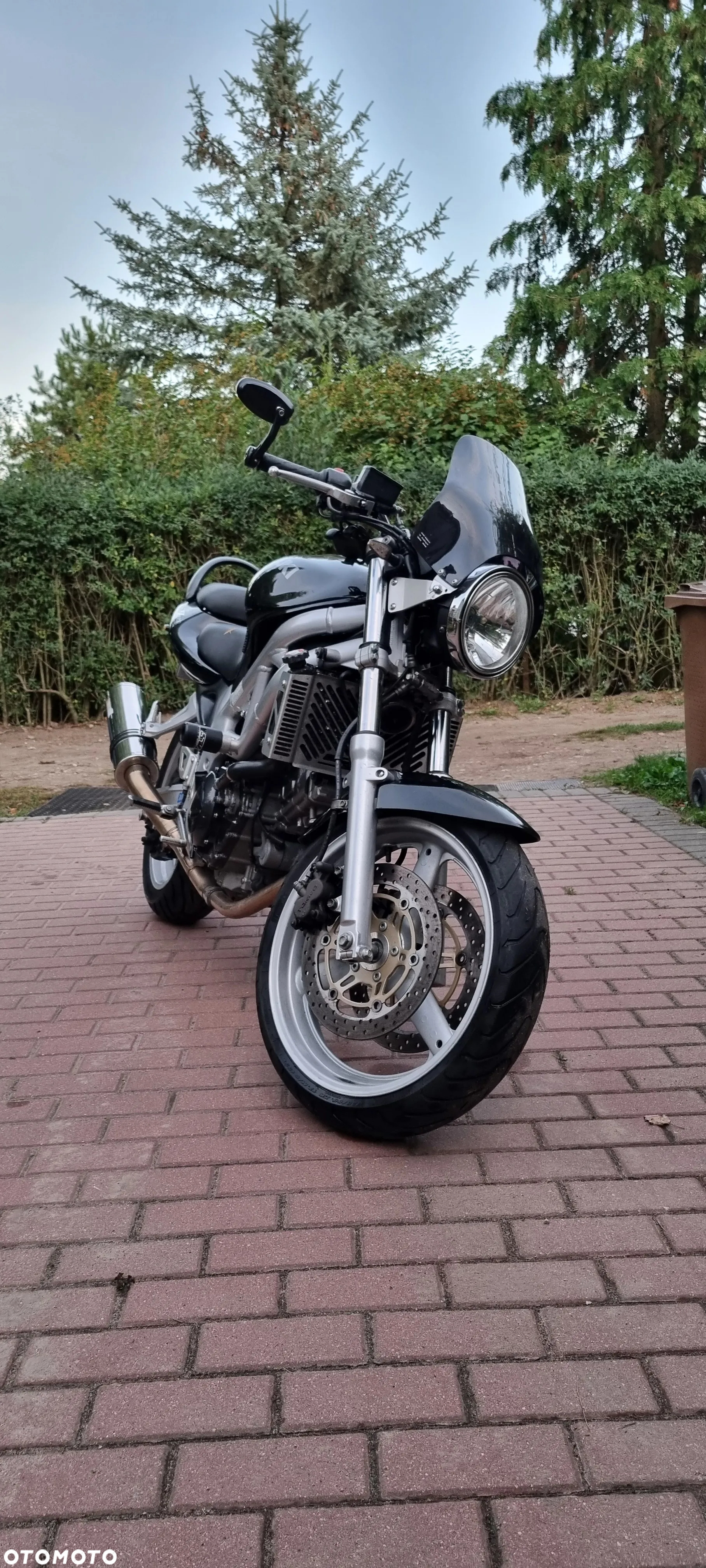Suzuki SV - 2