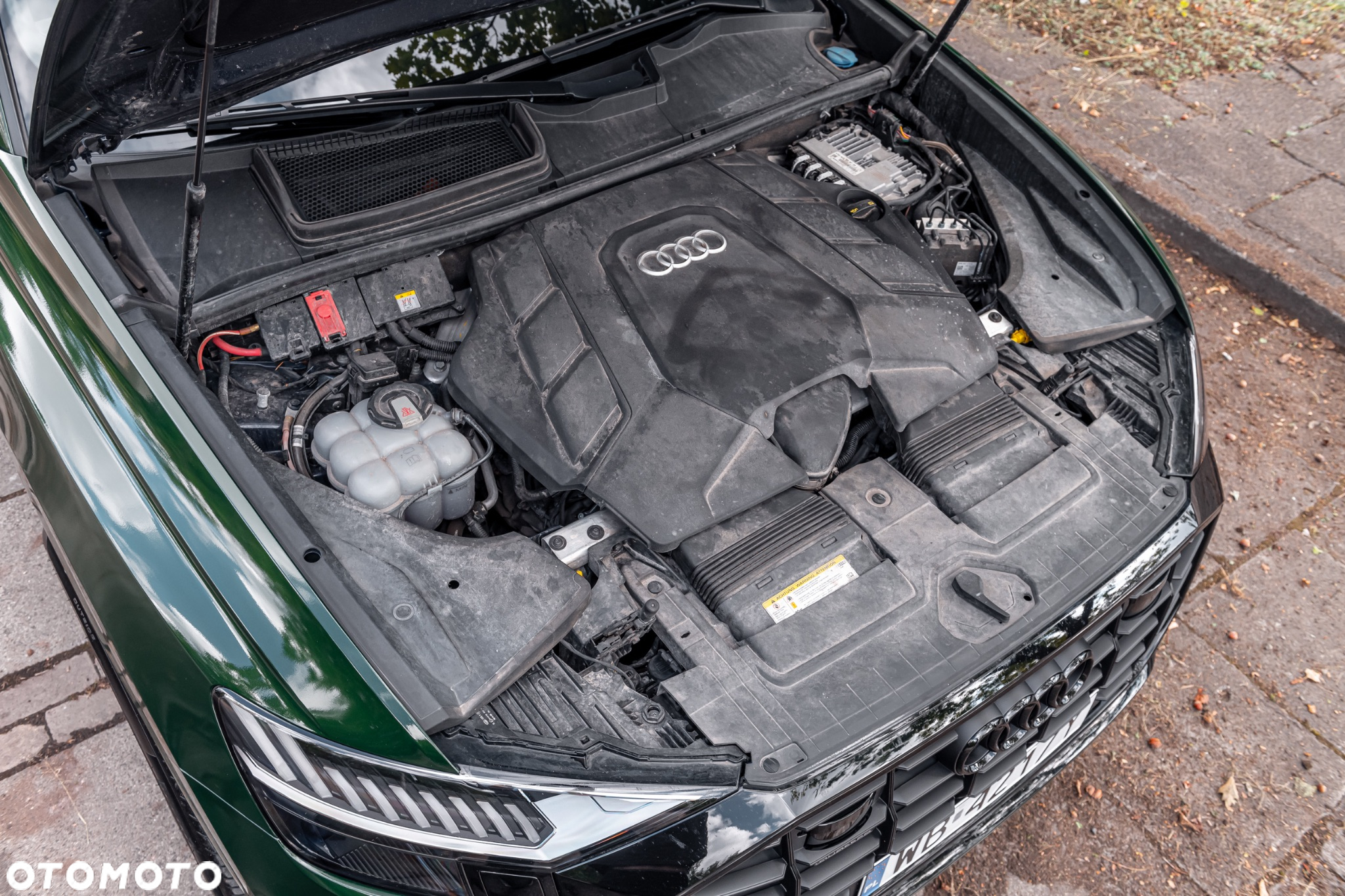 Audi Q8 - 31