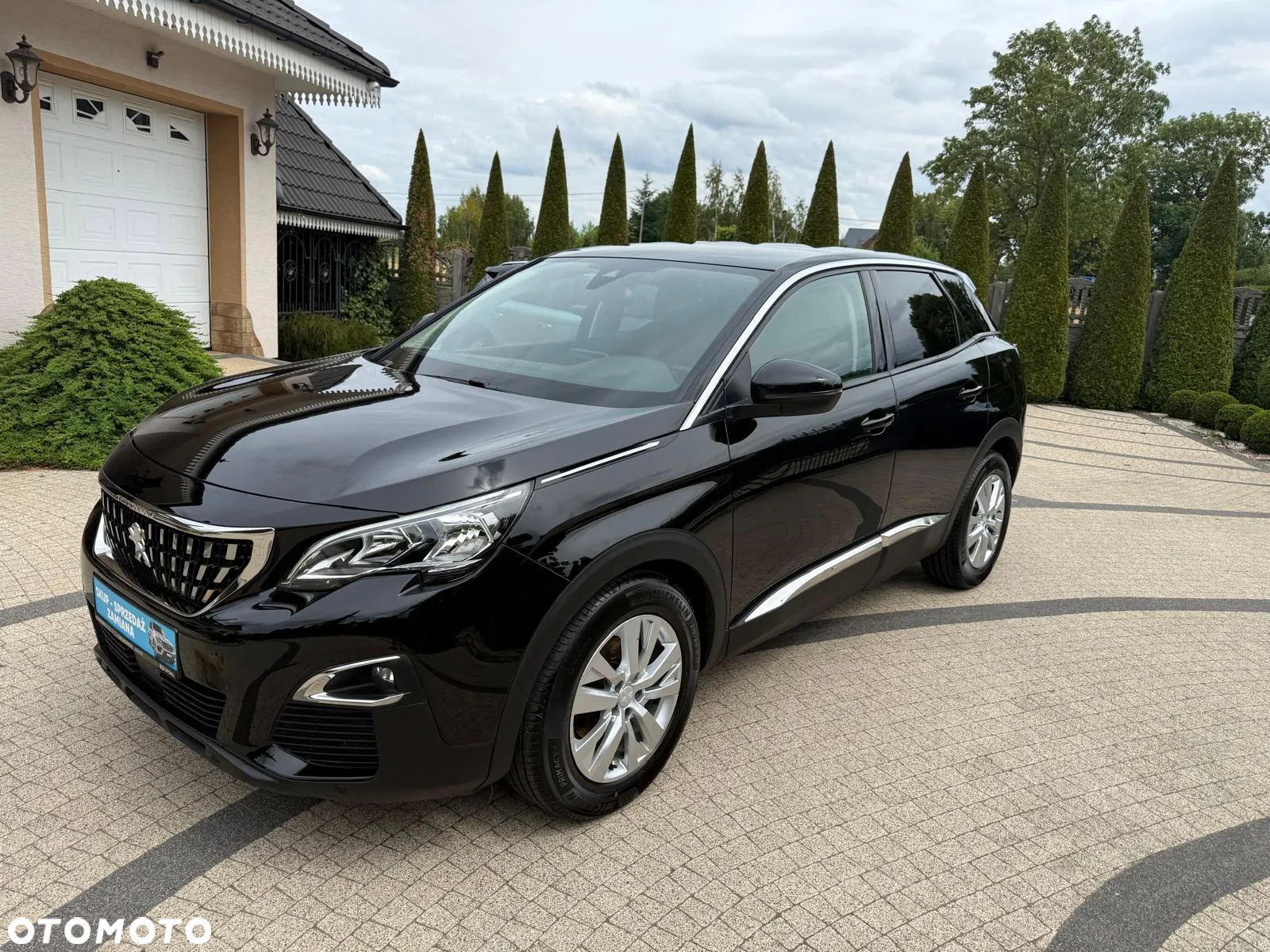 Peugeot 3008 1.5 BlueHDi Active Pack S&S - 31