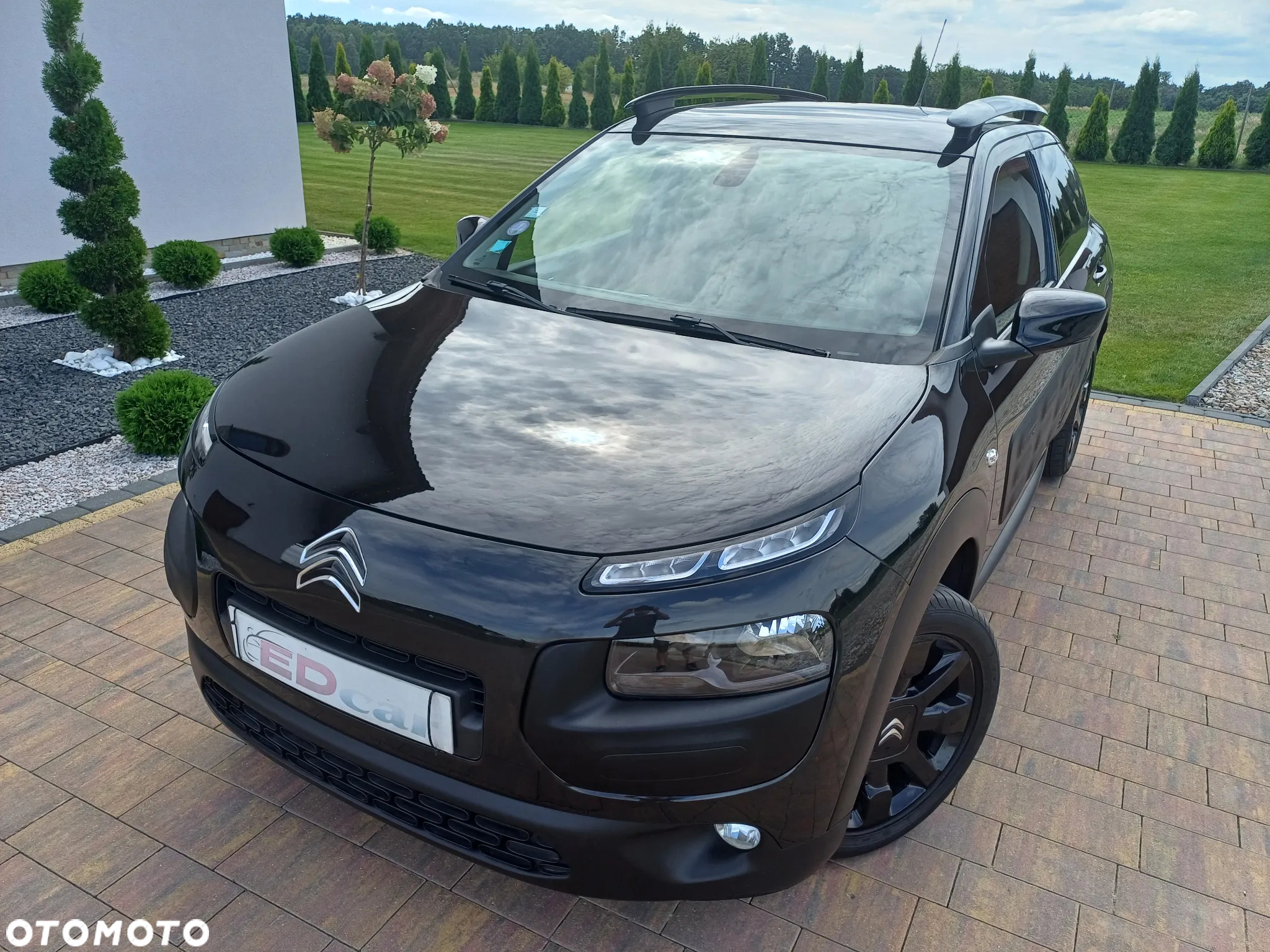 Citroën C4 Cactus 1.2 PureTech Shine - 7