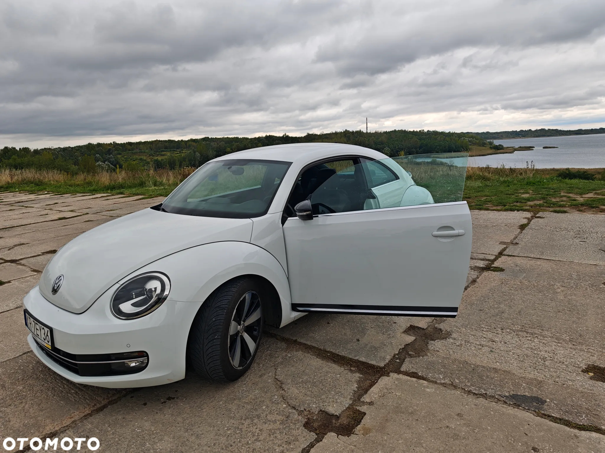 Volkswagen Beetle - 10