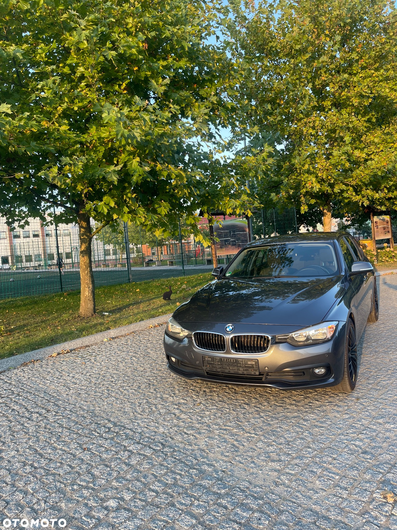 BMW Seria 3 - 2
