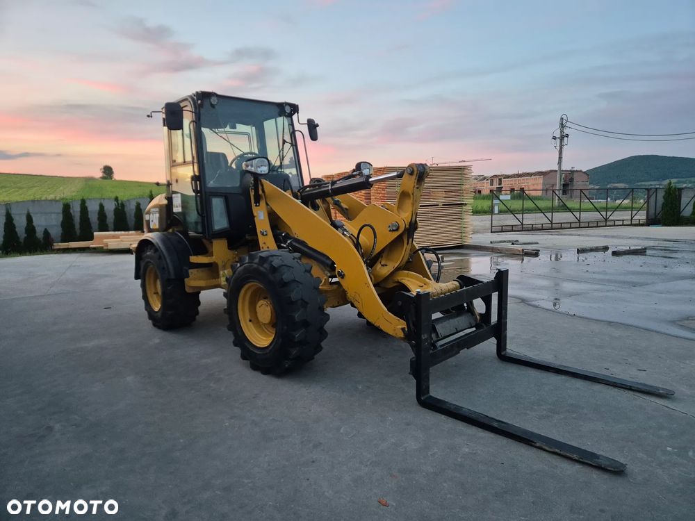 Caterpillar - 4
