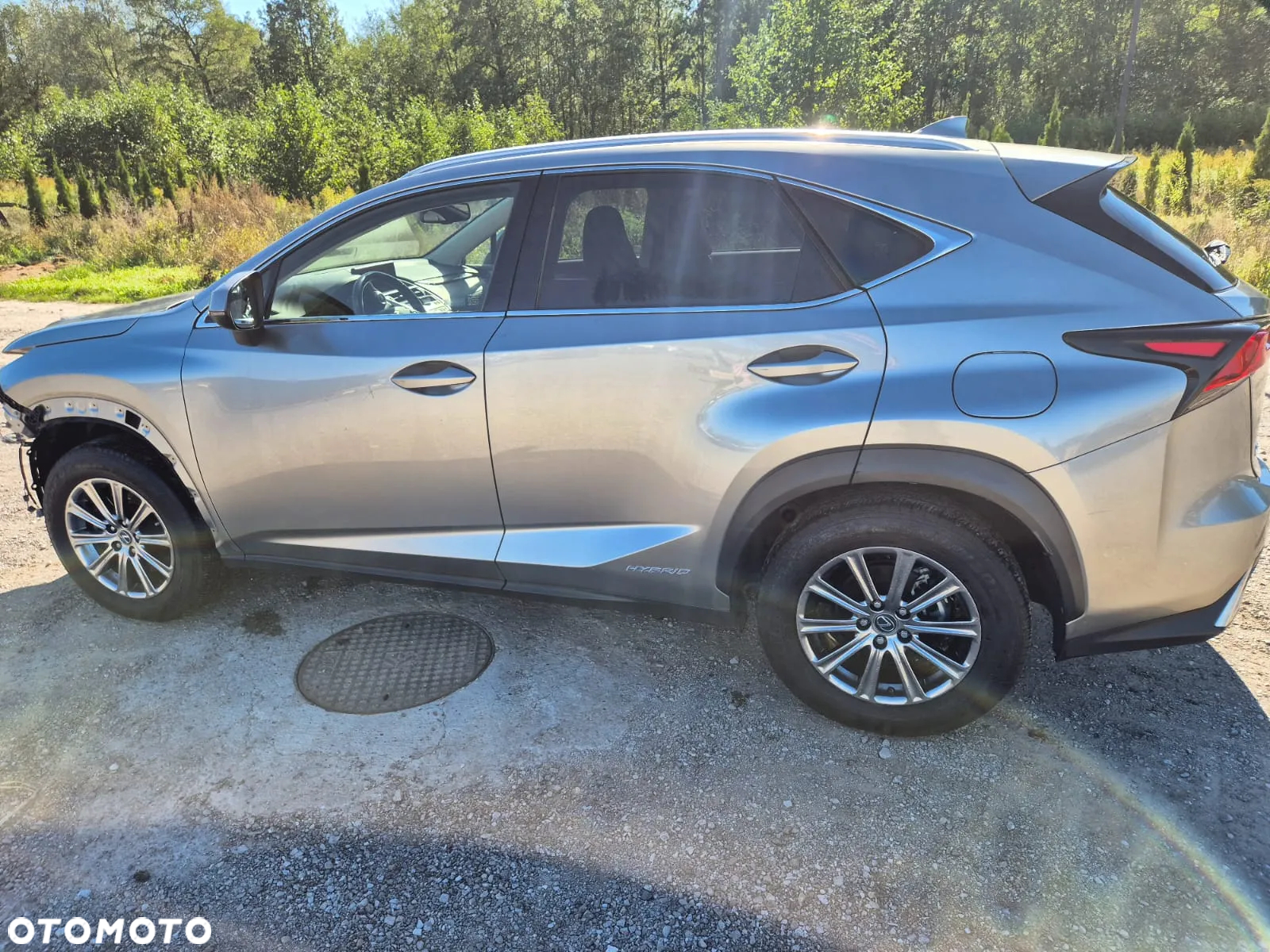 Lexus NX 300h - 14
