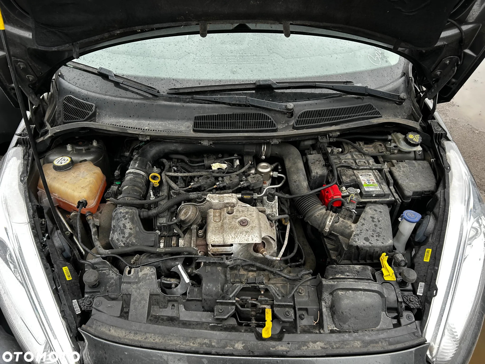 Ford Fiesta - 21