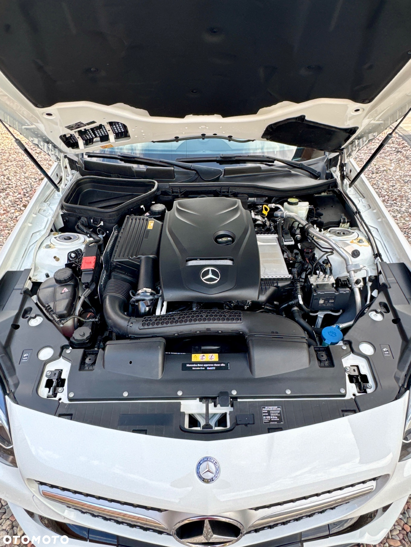 Mercedes-Benz SLC 300 9G-Tronic - 13