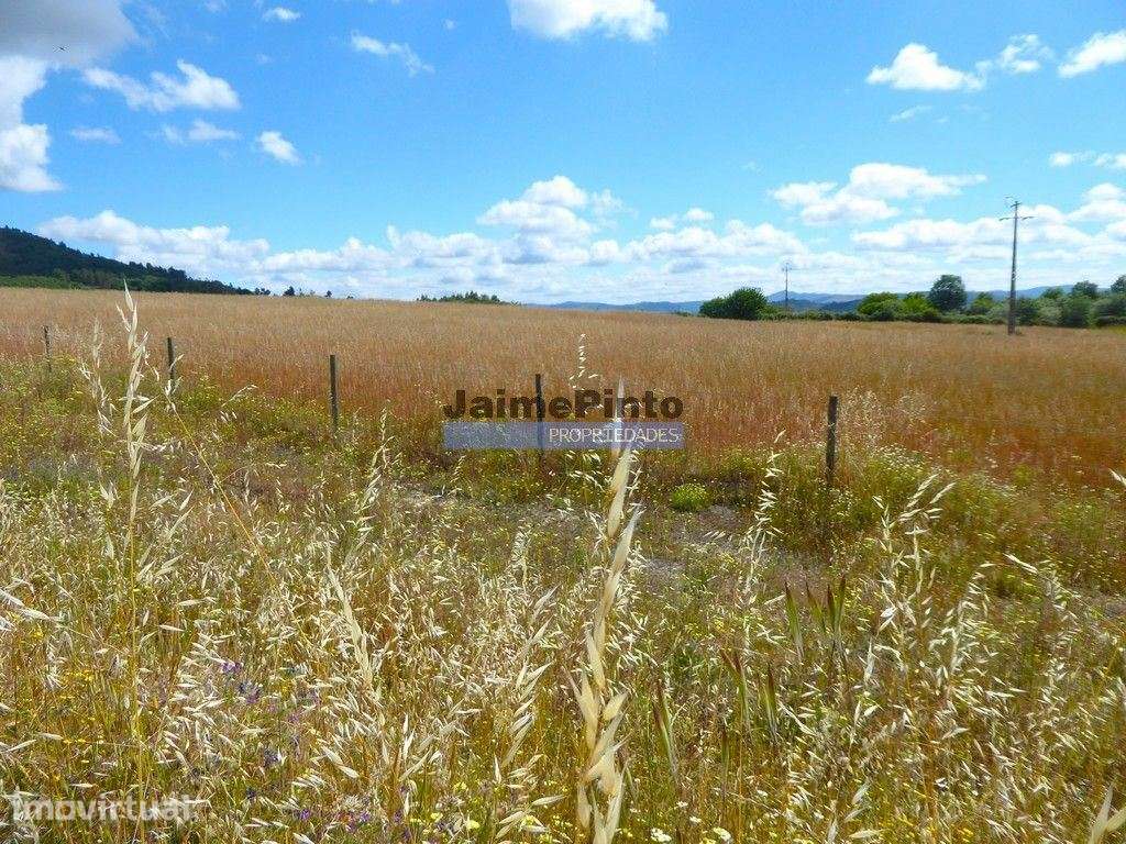 Propriedade 80,1ha de Cultivo Agrícola. Portugal, Belmonte, Castelo... - Grande imagem: 4/4