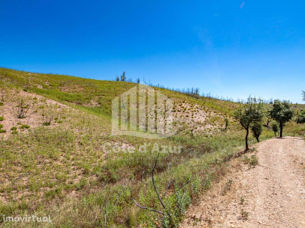 Terreno com 11 hectares - Odemira - Grande imagem: 5/26