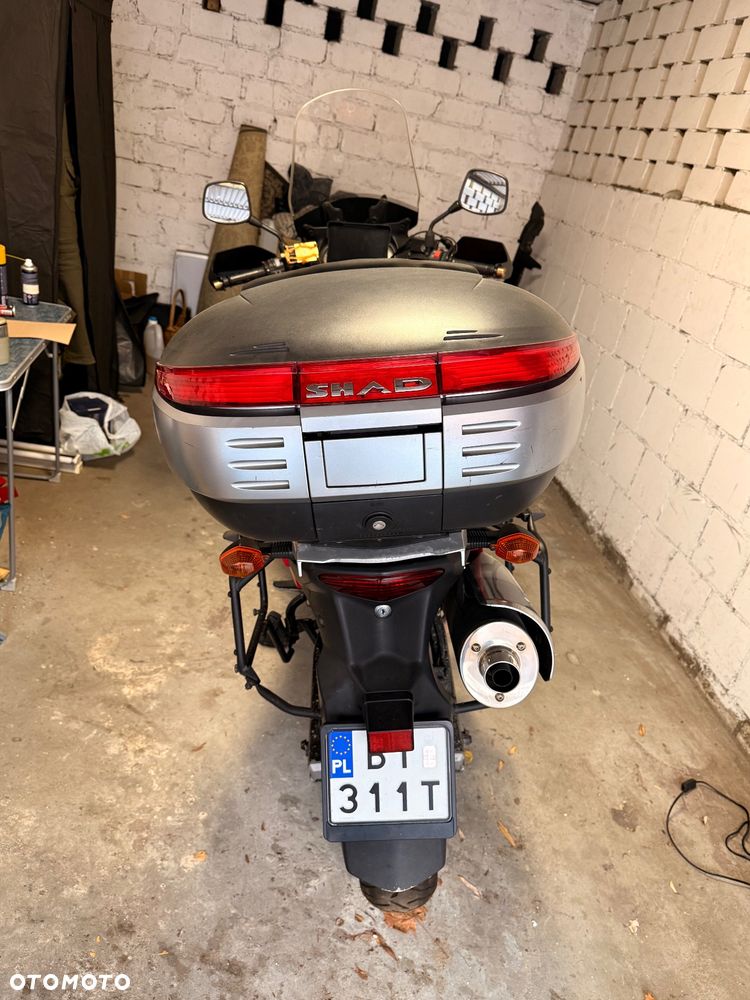 Suzuki DL - 8