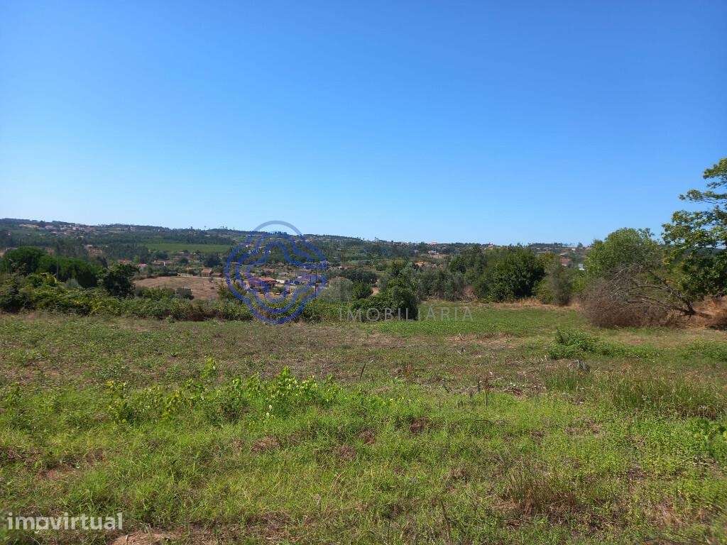 Terreno agrícola com 4.280 m2 a 5 minutos da Aldeia de Dornes, centro - Grande imagem: 5/21