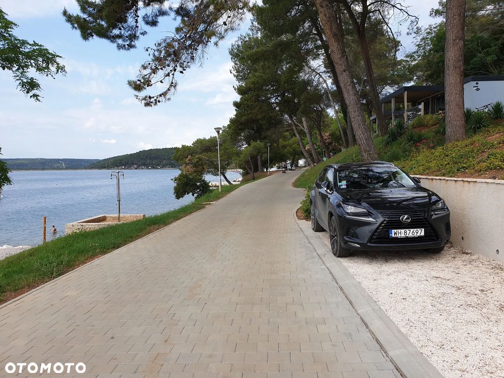 Lexus NX 300 GPF Elegance AWD - 6
