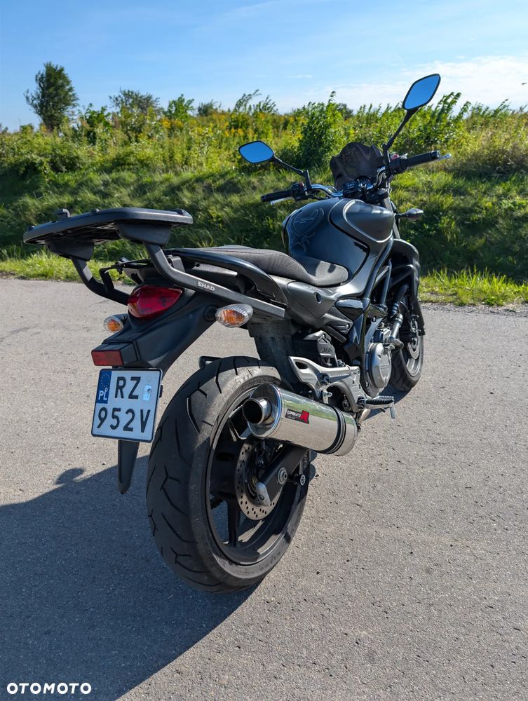 Suzuki Gladius - 5