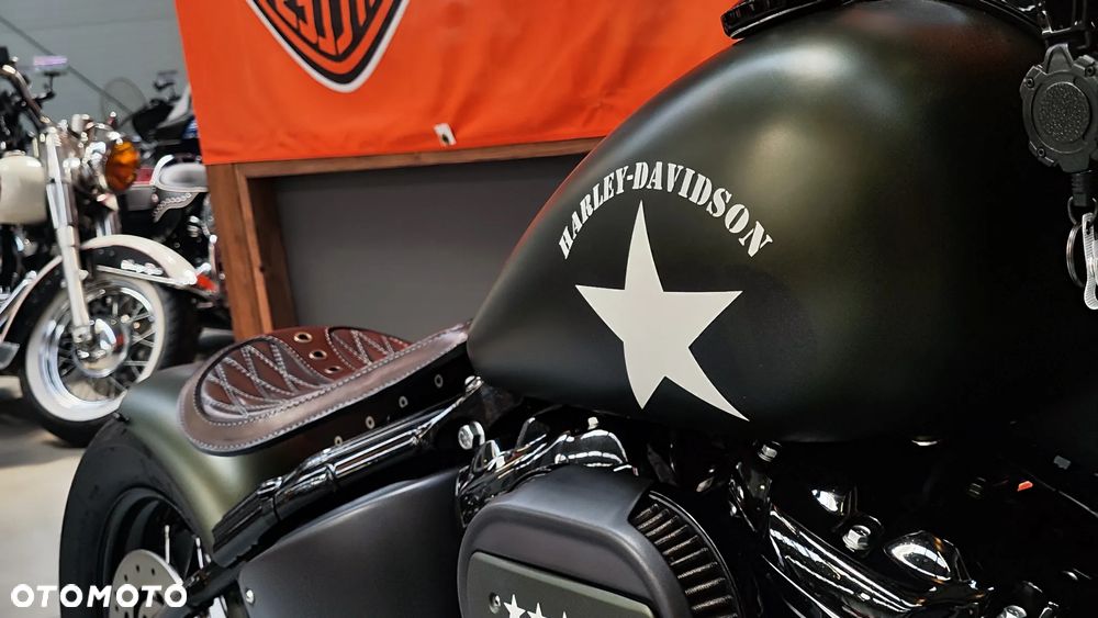 Harley-Davidson Softail - 18