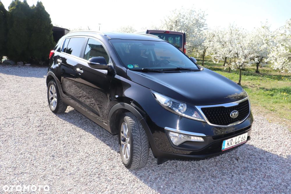 Kia Sportage 1.6 GDI Business Line L 2WD - 12