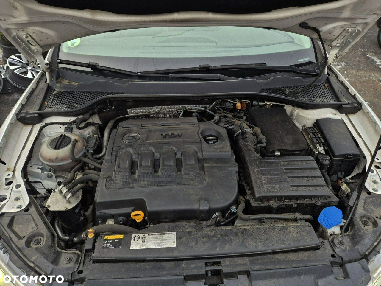 Seat Leon - 11