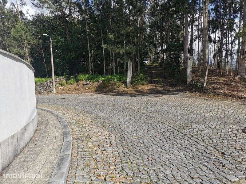 Terreno florestal - Grande imagem: 2/4