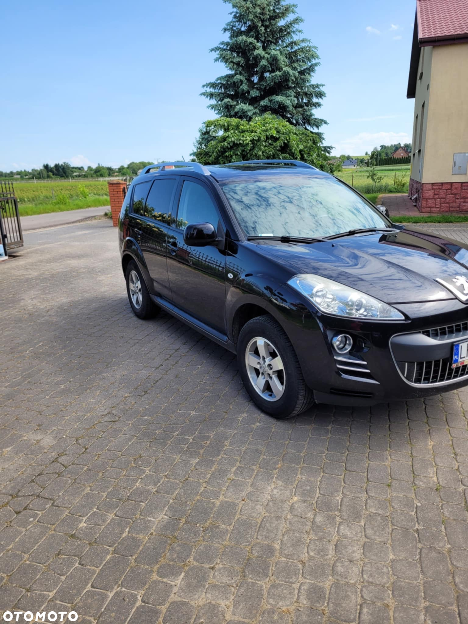 Peugeot 4007 2.2HDi Platinum - 4