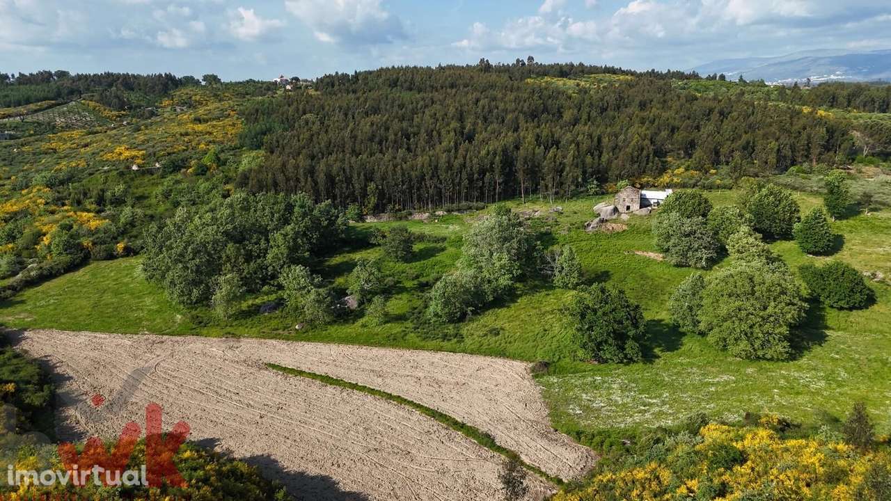 Quinta com 5.4 hectares | Ruína e Açude - Grande imagem: 5/20
