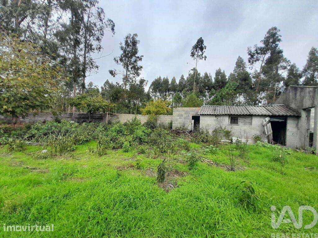Terreno em Tocha - Grande imagem: 2/5