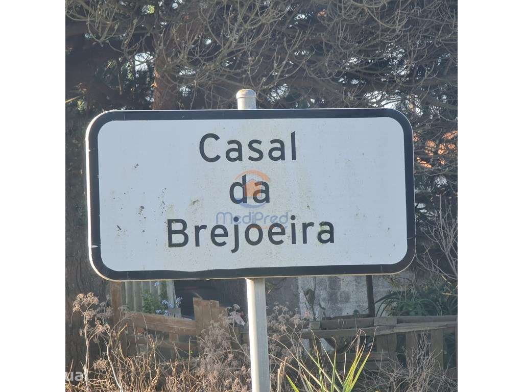 Terreno Agrícola 5.900 m2 | Brejoeira, A dos Cunhados, Torres Vedras - Grande imagem: 3/3