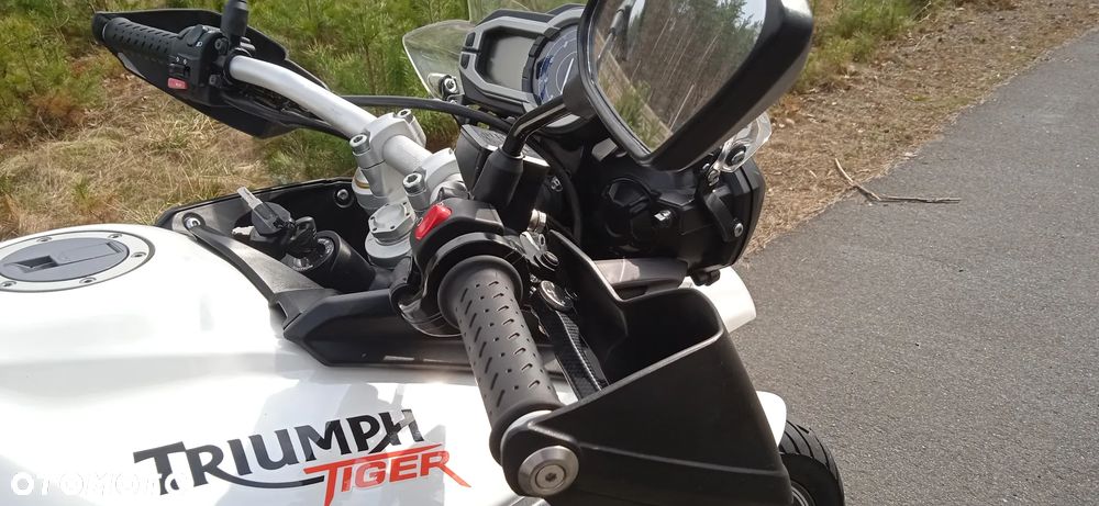 Triumph Tiger - 28
